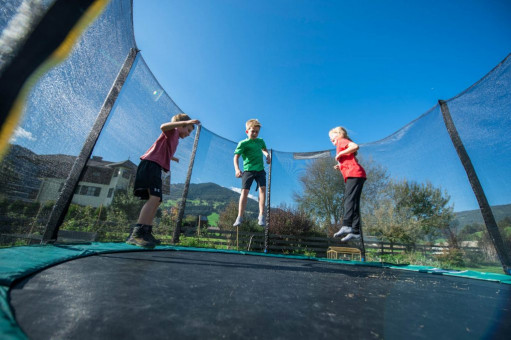 Familienurlaub in Flachau - Mini Bauernhof - Wawies Appartements