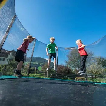 Familienurlaub in Flachau - Mini Bauernhof - Wawies Appartements